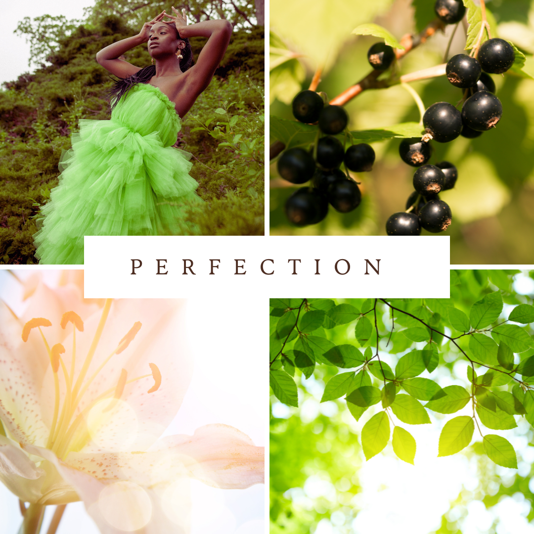 Perfection Perfume
