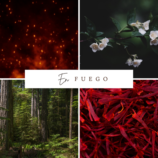 En Fuego Perfume