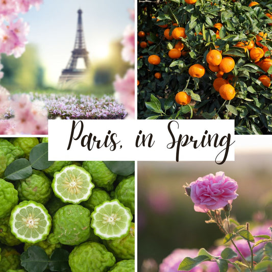 Paris, in Spring Perfume